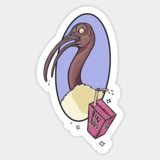 Bin Chicken - Urban Legends (Black Headed Ibis) Sticker